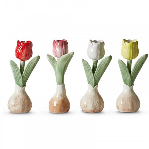 Porcelænsblomst Tulipan