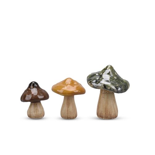 Dekorations svampe, multifarvet