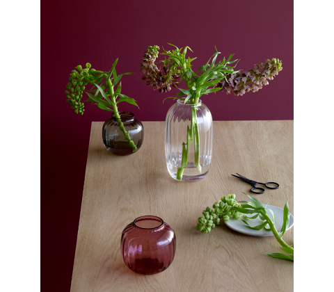 Holmegaard Primula vaser klar