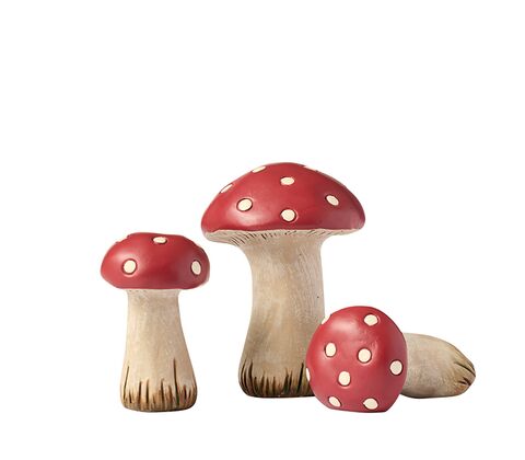 Klarborg Fluesvampe, 3 stk