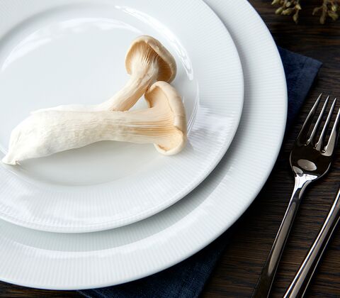 Pillivuyt Eventail flad frokosttallerken hvid Ø 22 cm 