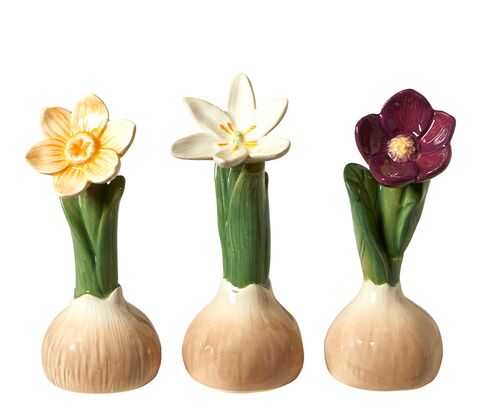 Dekorationsblomst med løg assorterede 1 stk.