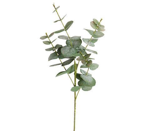 Eucalyptus stilk H 85 cm støvet grøn