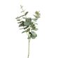 Eucalyptus stilk H 85 cm støvet grøn
