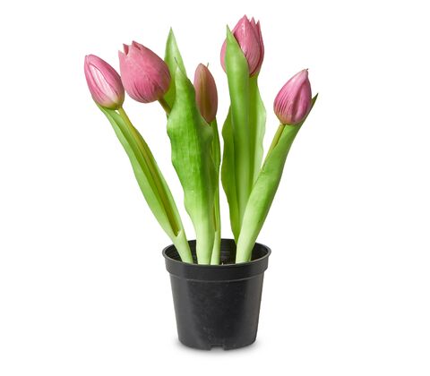 5 stk. kunstige tulipaner i potte H 25 cm rosa