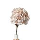 Hortensia stilk H 49 cm pudder 