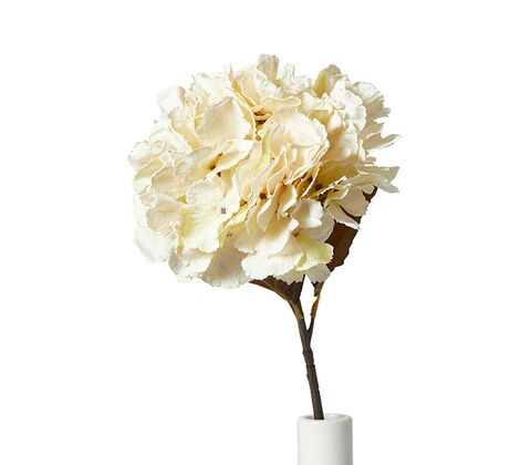 Hortensia stilk H 49 cm creme