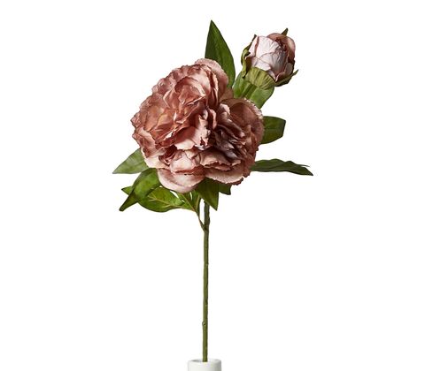 Pæon stilk H 69 cm støvet rosa