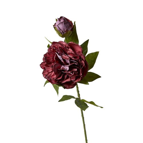 Pæon stilk H 69 cm bordeaux 