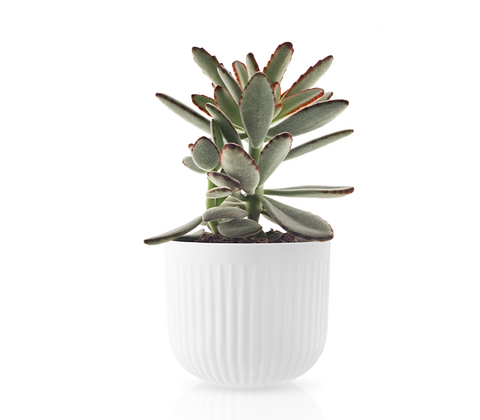 Eva Trio Legio Nova urtepotteskjuler 13 cm 