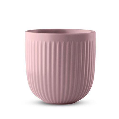 Eva Trio Legio Nova Kop 34 cl rosa 2 stk.