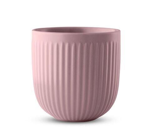 Eva Trio Legio Nova Kop 34 cl rosa 2 stk.