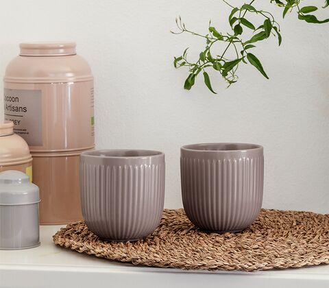 Eva Trio Legio Nova Kop 34 cl brun 2 stk.