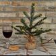 Sirius Bella juletræ med lys hvid H 30 cm