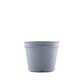 Witt Premium slowjuicer sort