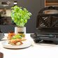 Witt premium Sandwich Maker sandwichtoaster sort 1000 watt