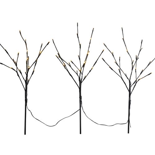 Lystræ sort 3 stk. 