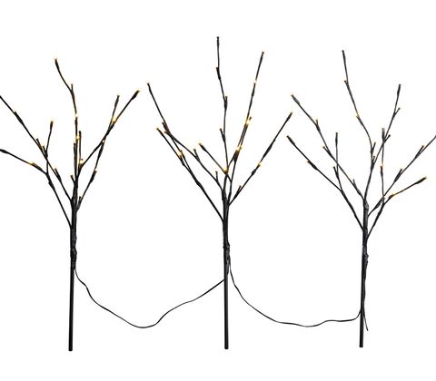 Lystræ sort 3 stk. 
