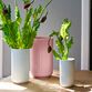 Lyngby Porcelæn vase rosa H 25 cm 