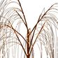 LED Lystræ H 150 cm