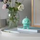 Hoptimist Bumble mint 7,6 cm