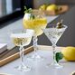 Lyngby Glas Melodia cocktailglas 4 stk.  21 cl